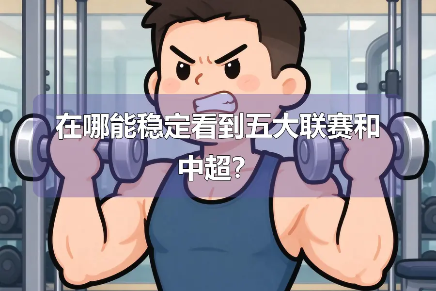 在哪能稳定看到五大联赛和中超？